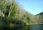 The New River for fishing, tubing, and canoeing