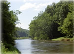 The New River for fishing, tubing, and canoeing