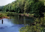 The New River for fishing, tubing, and canoeing