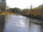 The New River for fishing, tubing, and canoeing