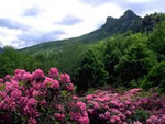 Mountain Views